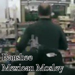 Moselybanshee — Ultimate PCB User Tier List option 134