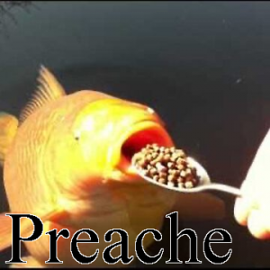 Preache — Ultimate PCB User Tier List option 161