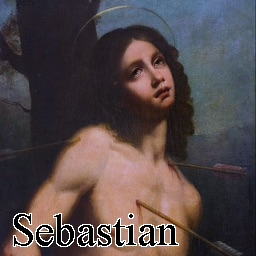 Sebastion — Ultimate PCB User Tier List option 177