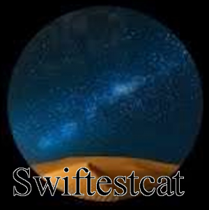 Swiftecat — Ultimate PCB User Tier List option 192