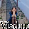 Vizdun — Ultimate PCB User Tier List option 203