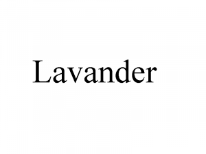Zzzzz 1764734869lavander — Ultimate PCB User Tier List option 223