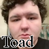 Zzzzz 1764735983toad — Ultimate PCB User Tier List option 237
