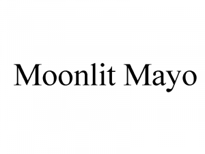 Zzzzz 1764773727moonlit Mayo — Ultimate PCB User Tier List option 241