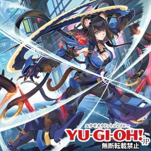 Yu-Gi-Oh! Archetypes — option 178