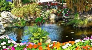 Botanical Garden — Types of Dates option 8