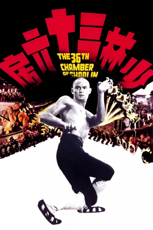 Zzzzz 1741684588img7190 — Martial Arts Movies option 46