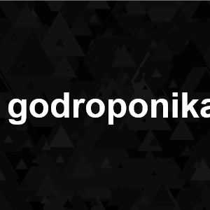 Image 23 — Тирлист русскоговорящих osu! игроков по адекватности option 17