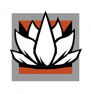 Img2168 — R6 operator Tier list (Yr 10 S1) option 5