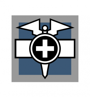 Img2181 — R6 operator Tier list (Yr 10 S1) option 18