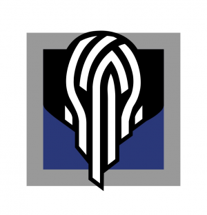 Img2212 — R6 operator Tier list (Yr 10 S1) option 48