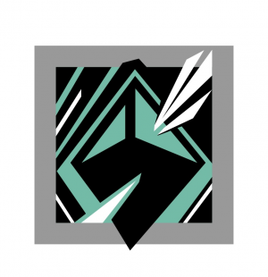 Img2220 — R6 operator Tier list (Yr 10 S1) option 55