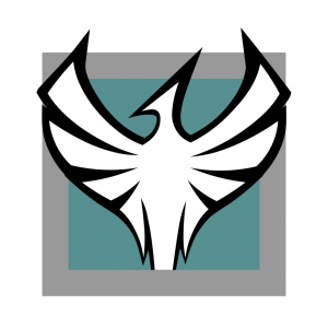 Img2240 — R6 operator Tier list (Yr 10 S1) option 75