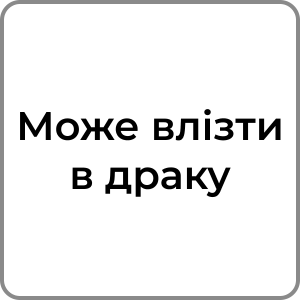 Zzzzz 174231958072 — Red flags в хлопцях option 82