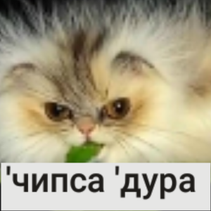 Продажа ОС на обмен своих пони — option 40