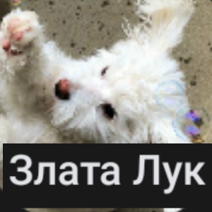 Zzzzz 1764777701 121420251203183341 — Продажа ОС на обмен своих пони option 95