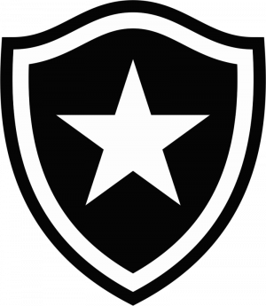800px Escudobotafogo — Brasileirão Série A 2025 option 10