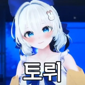 Untitled Image41 — SOOP 버츄얼 스트리머 노래 티어 option 35