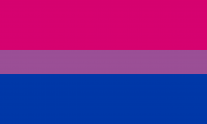 Bissexual — Gay stereotypes template option 5