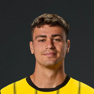 Reynaportraitplayer Teaser — Plantel BVB para 25/26 option 21