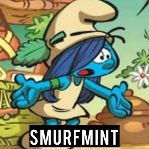 Zzzzz 178093309420 — Smurfs Tier List (2026) option 135