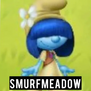 Zzzzz 178093309514 — Smurfs Tier List (2026) option 132