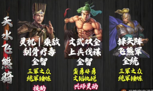 Screenshot 2025 08 11 172530 — Tam Quốc Chí Chiến Lược Team Tier 2026 option 2