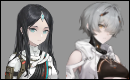Zzzzz 1750262115134 — PGR|Punishing Gray Raven ships&duos option 135