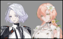 Zzzzz 1750262115168 — PGR|Punishing Gray Raven ships&duos option 143