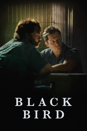 Zzzzz 1775552187black Bird — TV Shows (150+) option 18