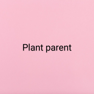 Pink Colored Square Sheet Paper696657 2941934 — Lesbian Stereotypes option 27