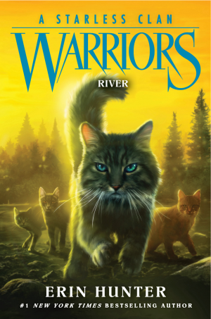 Zzzzz 17557921271 River — All Warrior Cats Books (JAN 2026) option 43