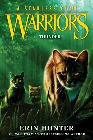 Zzzzz 17557921284 Thunder — All Warrior Cats Books (JAN 2026) option 46