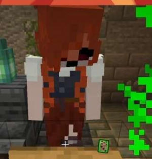 Zzzzz 1776212789screenshot20260406005018twitch — BannerFall SMP Characters option 65