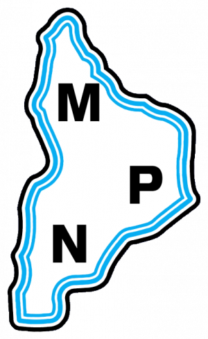 Movimiento Popular Neuquino — Partidos políticos argentinos 2025 option 40