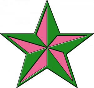 Partido Bloquista De San Juan — Partidos políticos argentinos 2025 option 49