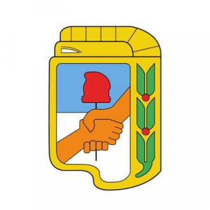 Partido Justicialista — Partidos políticos argentinos 2025 option 71