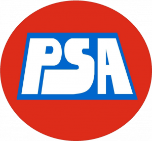 Zzzzz 1748979829partido Socialista Autentico — Partidos políticos argentinos 2025 option 109