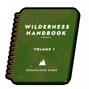 Guidebook — PEAK game option 35