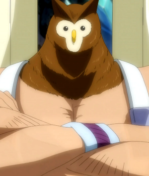 Zzzzz 1768509037fukuro — Fairy Tail option 21