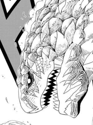 Zzzzz 1784727214dragon Motherglare — Fairy Tail option 268