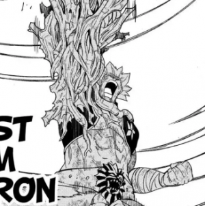 Zzzzz 1784727214elfman — Fairy Tail option 265