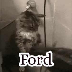 Zzzzz 1755933450ford — Schlatt Community Discord ^_^ option 43