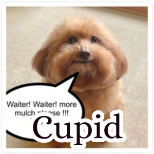 Zzzzz 1755936484cupid — Schlatt Community Discord ^_^ option 71