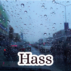 Zzzzz 1755936484hass — Schlatt Community Discord ^_^ option 77