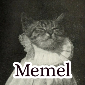 Zzzzz 1755936485memel — Schlatt Community Discord ^_^ option 79