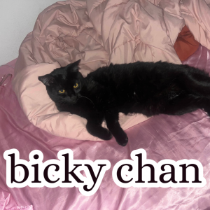 Zzzzz 1755952328bickychan — Schlatt Community Discord ^_^ option 27