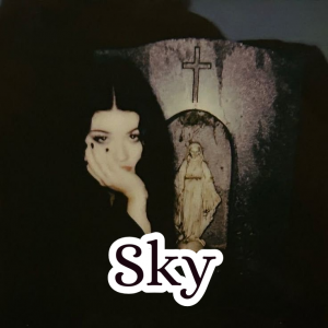 Zzzzz 1755952720sky — Schlatt Community Discord ^_^ option 33