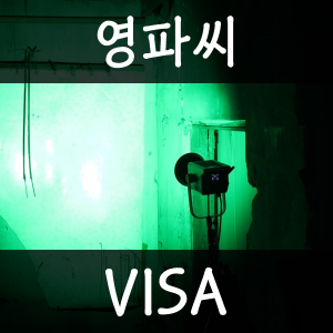 18 Visa — 2026년 1분기 발매 여자 아이돌 주요곡 티어메이커 (29곡) option 9