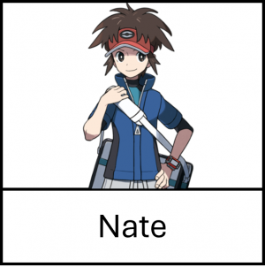 025 Nate — Pokemon Video Game Protagonists option 25